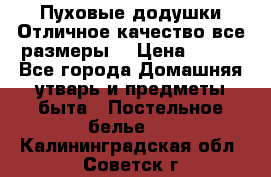 Пуховые додушки.Отличное качество,все размеры. › Цена ­ 200 - Все города Домашняя утварь и предметы быта » Постельное белье   . Калининградская обл.,Советск г.